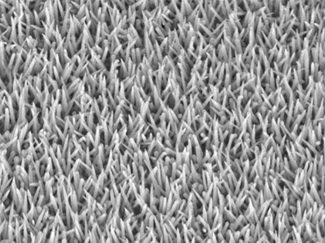 Synthesis of ZnO Nano tube for sensing application